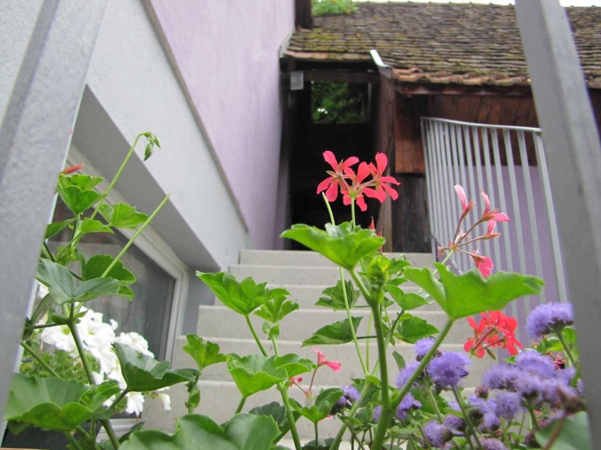 Les Jardins De Lo'Re'An Apartment Holtzwihr Bagian luar foto